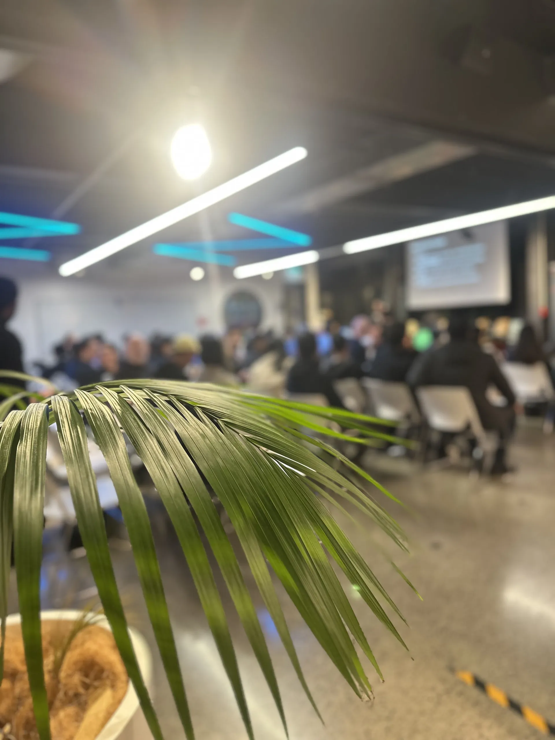 Cursor Meetup Auckland event photo